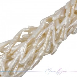 Perle di Fiume forma Ramo Panna Irregolare 33x19mm