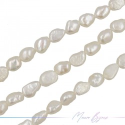 Freshwater Pearls Half Pearls B Cream Irregular 10x8mm