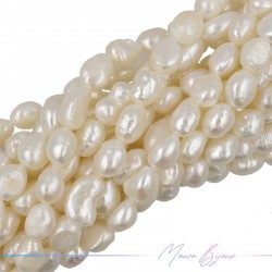 Freshwater Pearls Half Pearls B Cream Irregular 10x8mm
