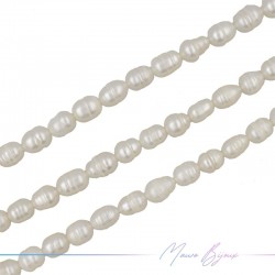 Freshwater Pearls Ovals A Cream Irregular 8x6mm