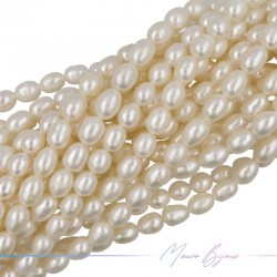 Freshwater Pearls Ovals B Cream Irregular 9x7mm