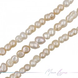 Freshwater Pearls Beans Multicolor 15x8.5mm