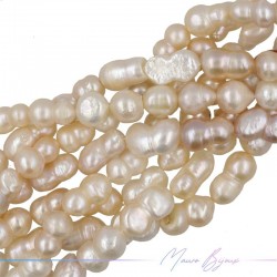 Freshwater Pearls Beans Multicolor 15x8.5mm
