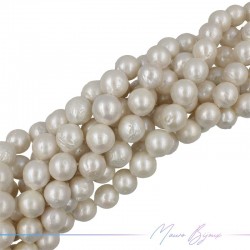 Freshwater Pearls Round Irregular Cream 13-15mm