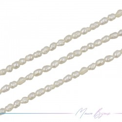 Perle di Fiume forma Ovalini Irregolare Panna 4x6mm