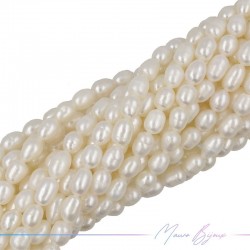 Perle di Fiume forma Ovalini Irregolare Panna 6.5x10mm