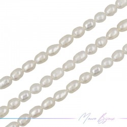Perle di Fiume forma Ovalini Irregolare Panna 7.5x12mm