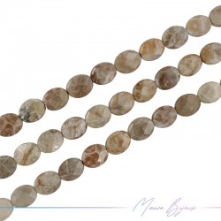 Fossil Oval Faceted 8x10mm (Wire of 40 cm)