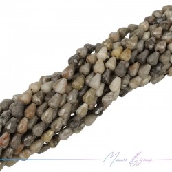 Fossile Goccia Sfacettata 8x5mm (Filo di 40 cm)