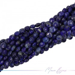 Lapis Lazuli Round Flat Faceted 6mm (Wire of 40 cm)