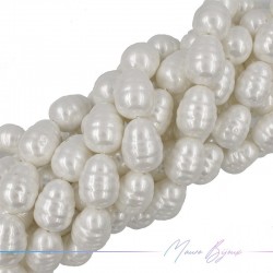Perle Artificiale Bianca Ovale Irregolare 22x16mm (Filo di 40 cm)