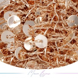 Inox Chain in Rose Gold Disks