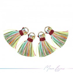 Tassels with Ring Multicolor