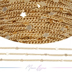 Inox Chain in Groumette Gold with Stars