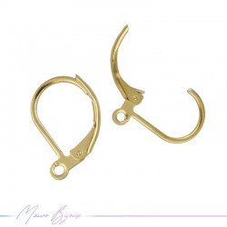 Earring Inox French Type Gold