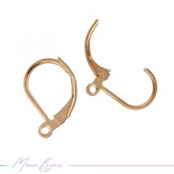 Earring Inox French Type Rose Gold
