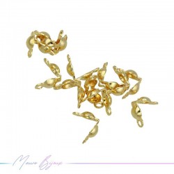 Coprinodo in Acciaio Inox colore Oro 3mm