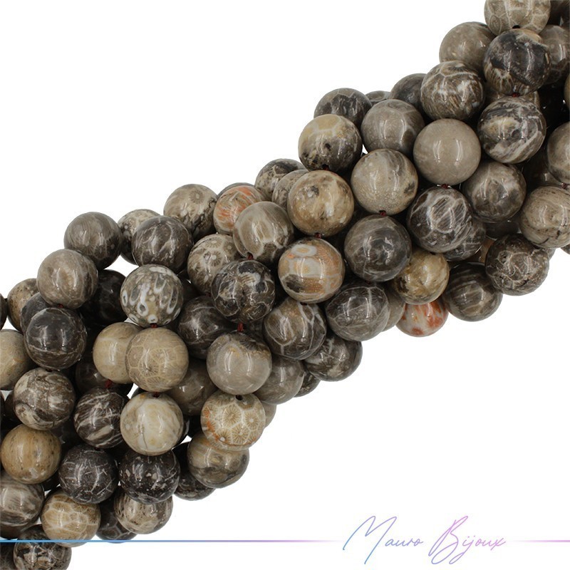 Fossil Stone Smooth Sphere Gray