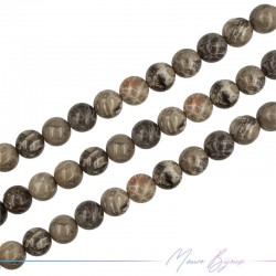 Fossil Stone Smooth Sphere Gray