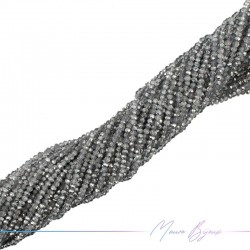 Fili di Cristallo Forma Cippoline Sfaccettato Argento Bicolore