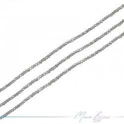 Fili di Cristallo Forma Cippoline Sfaccettato Argento Bicolore