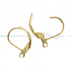 Hook Earring  in Brass Drop Type color Gold