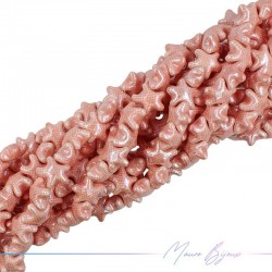 Fili di Ceramica Forma Stella Marina 20mm Spessore 10mm Colore Rosa