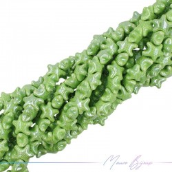 Fili di Ceramica Forma Stella Marina 20mm Spessore 10mm Colore Verde Chiaro