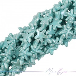 Ceramic StarFish 19mm Thickness 6mm Color Turquoise