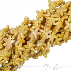 Ceramic StarFish 19mm Thickness 6mm Color Mustard