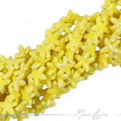 Ceramic StarFish 19mm Thickness 6mm Color Yellow