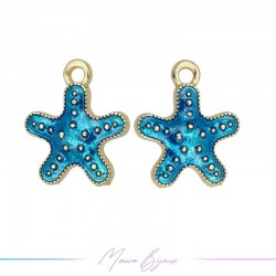 Charms in Brass enameled...