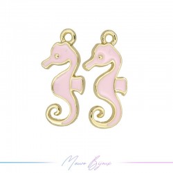 Charms in Brass enameled...