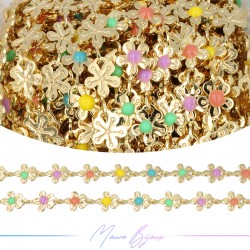 Catena in Ottone incatenato...