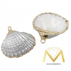Clam - Ciondoli a Conchiglie Argento