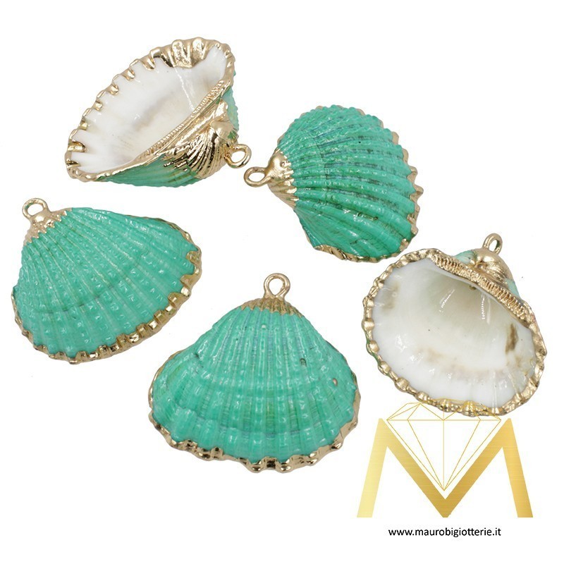 Clam Turquoise
