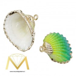Clam Green