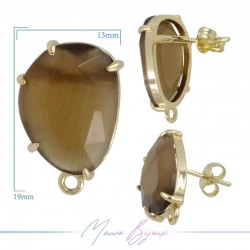 Brown Cat's Eye Earrings with Gold Base Color | Bean Shape