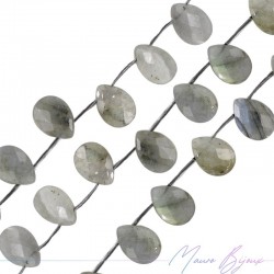 Labradorite Goccia Piatta Sfaccettata 14x10mm (1 Filo di 25pz)