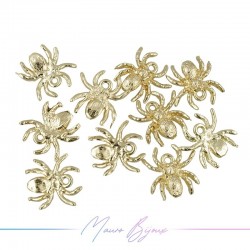 Spiders Brass Gold