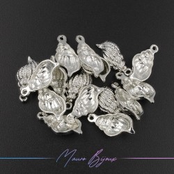 Conchiglie in Ottone Argento