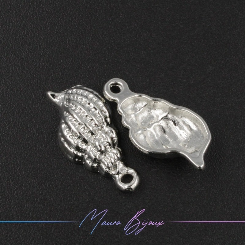 Conchiglie in Ottone Argento