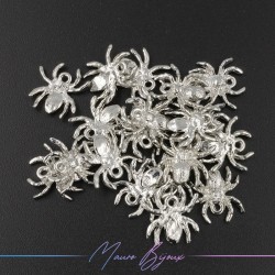 Ragnetti in Ottone Argento